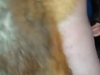 Free Xxx Black Pussy Porn