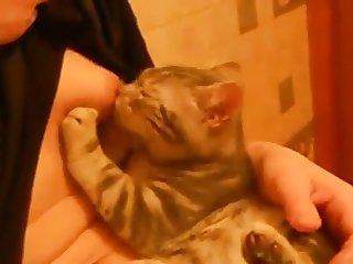 Xxx Porn Ful Hd