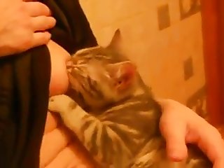 Xxx Porn Ful Hd