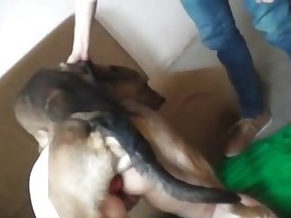 Xxx Porn Hard Cock