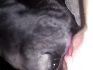 Xxx Sex Porn Sister