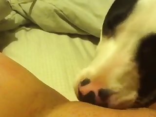 Top Porn Xxx Video