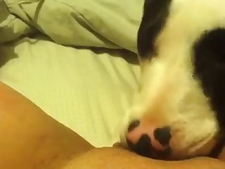 Top Porn Xxx Video