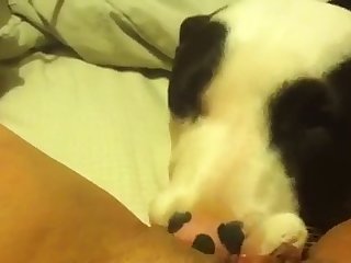 Top Porn Xxx Video