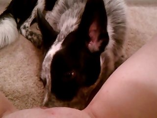 Xxx Porn Male