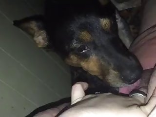 Gay Porn Xxx Gif