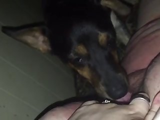 Gay Porn Xxx Gif
