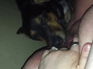 Gay Porn Xxx Gif