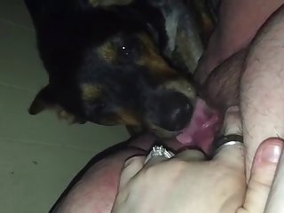 Gay Porn Xxx Gif