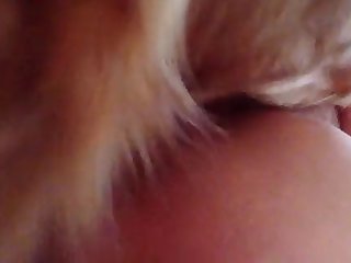 Xxx Sex Free Porn Videos