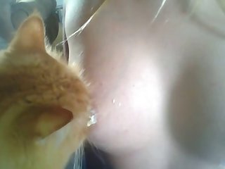 Fell X Sans Swap Porn Xxx Porn