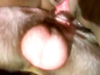 Xxx Bangla Porn Videos