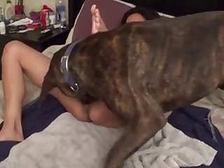 Hd Porn Sex Video Xxx
