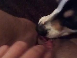 Porn Xxx Videos Free Hd