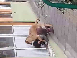 Xxx Desi Porn Pics