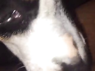 Xxx Mom Porn