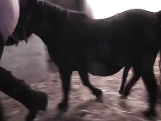 Anime Cosplay Porn Xxx