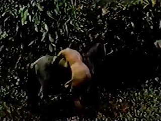 Menor Dominicana Xxx Porn