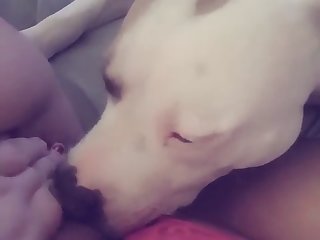 Ai Image Porn Xxx