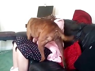 Polish Milf Porn Xxx