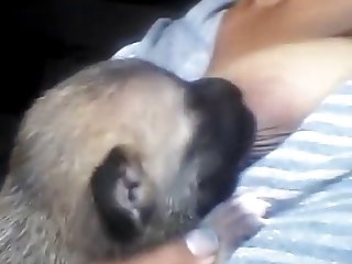 Xxx Indian Porn Video Download