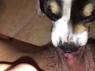 Free Black Porn Xxx Videos