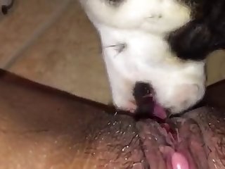 Free Black Porn Xxx Videos