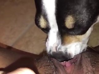 Free Black Porn Xxx Videos
