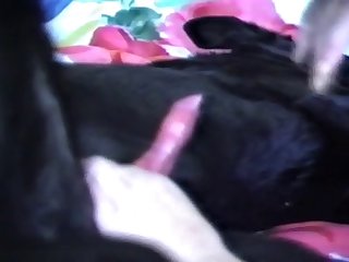 Porn College Girl Xxx