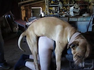 Xxx Free Porn Free