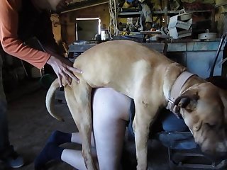 Xxx Free Porn Free