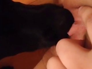 Porn Licking Xxx