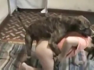 Korean Girls Porn Xxx