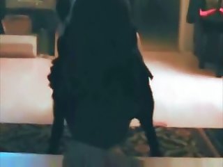 Xxx New Hindi Hd Porn