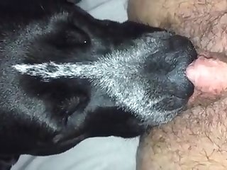 Www Xxx Indian Porn Com