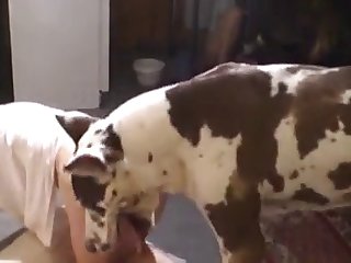 Ginny Di Sexy Cosplay Xxx Porn