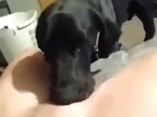 Xxx Hot Porn Girl Video