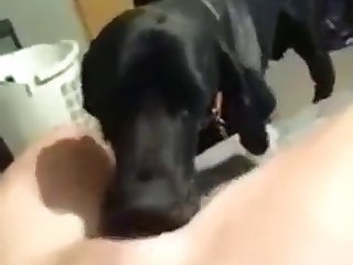 Xxx Hot Porn Girl Video