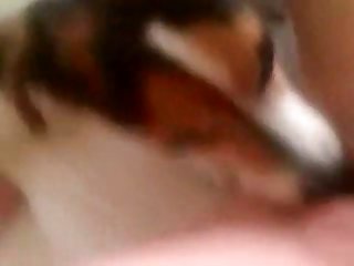 Porn Free Xxx Movies