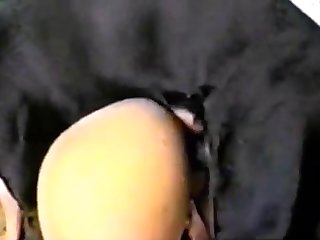 Xxx Chubby Hd Porn