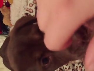 Xxx Video Porn 2023