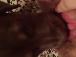 Xxx Video Porn 2023