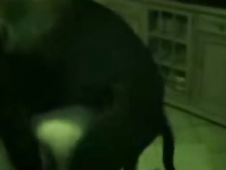 Xxx Free Porn Films