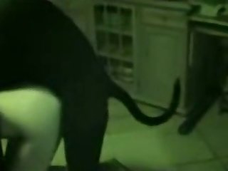 Xxx Free Porn Films