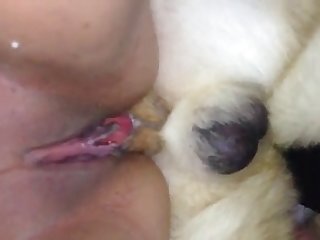 Porn Filme Xxx