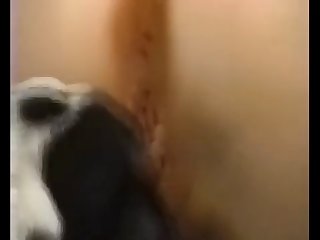 Videos Xxx Porn Sub Net