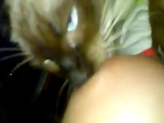 Xxx Hard Porn Fucking