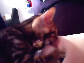 Xxx Porn Game For Android