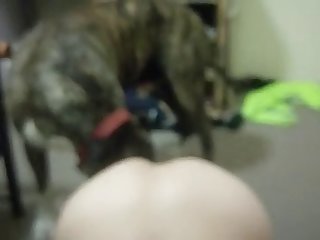 India Summer Sara Luvv Lesbian Xxx Porn