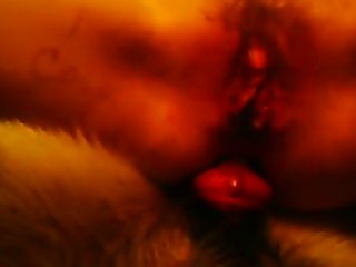 Xxx Cartoon Porn Sex